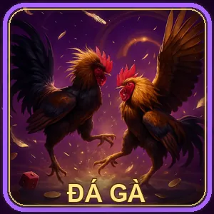 Đá Gà Trực Tiếp suncty
