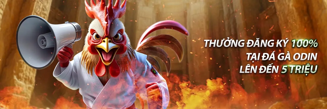 Sân vận động bóng đá với khán giả cổ vũ, biểu tượng cá cược thể thao BJ88