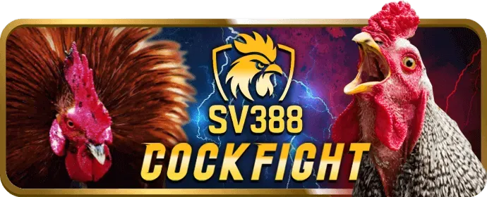 Áp dụng chiến thuật tâm lý trong game bài Suncty