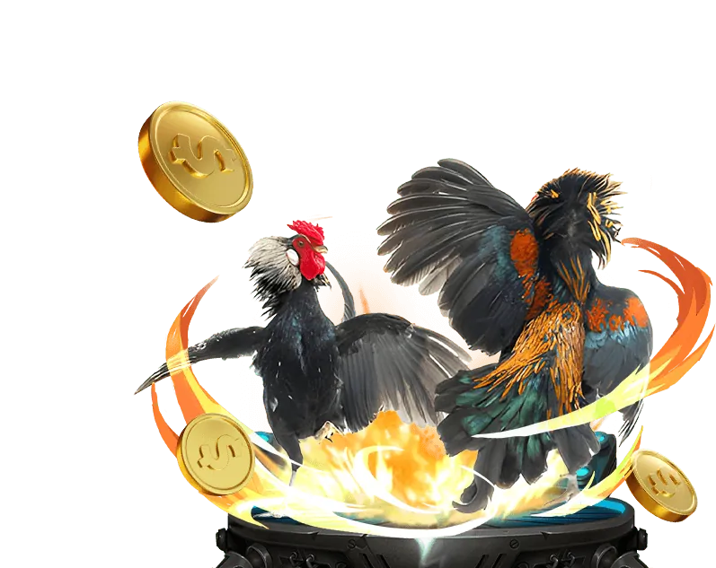 Chiến thuật đá gà trực tuyến BJ88 Link